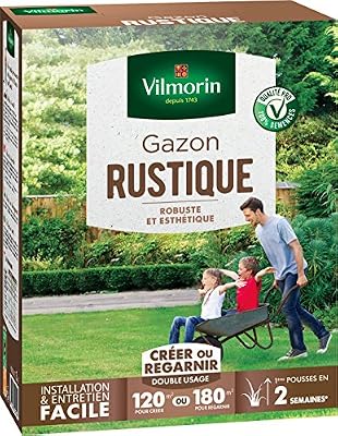 Vilmorin 4460415 Gazon Rustique, Vert, 3 kg