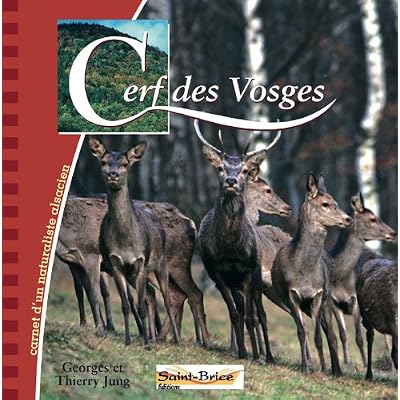 cerf des Vosges