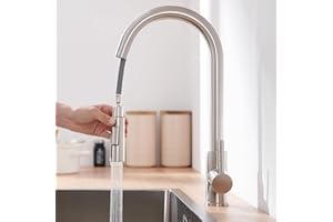 Lonheo Rubinetto Lavello Cucina, Miscelatore Cucina con Doccetta Estraibile, 2 Modalità, Rubinetti Cucina in Acciaio Inox Girevole a 360 ° per acqua calda e fredda