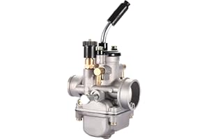 GOOFIT Carburador 19 mm para 2 Tiempos 50cc RS50 RX50 MX50 PGT Dirt Pit Bike ATV Quad Motor Motocicleta Motocicleta Plata