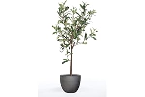 artplants.de Olivo Artificial Alberto, Tronco Real, con Frutos, 65cm - Olivo de plástico - Árbol Decorativo