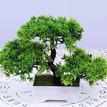 Japanische DekoWohnzimmer Bonsai,Zimmerpflanzen im Topf ...