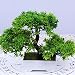 Produktbild Künstliche Bonsai Baum Pflanze für Büro Zuhause Dekoration, 18cm (Grün)
