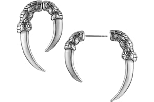 HZMAN Boucles d'oreilles à tige en acier inoxydable en forme de griffe de dragon pour homme et femme, style gothique, punk, bijou cadeau