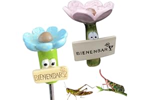 Distributeur d'eau pour Abeilles,Smavles 2Pcs Abreuvoir pour Abeilles en Nid d'abeille Réutilisable Distributeur d'eau D'apiculture Mangeoire Eau Mangeoire à Miel D'abeillesDistributeur d'eau d'Abeill