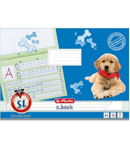 BRUNNEN Schoolblok A4 – Liniatuur 01, 1e Klas, Met Contrastliniatuur, 50 Vel, 90g/m² Premium Papier
