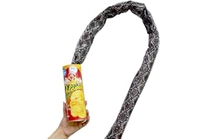 VIENTIANE 2 Pezzi Serpente di Patatine Fritte,Serpente in Lattina Regalo di Bavaglio Scherzo Divertente Giocattolo Scioccato Spaventoso per April Fools Day e Halloween