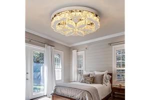 ‎GREELUSTR GreeLustr Moderne Kristall Kronleuchter Mit Fernbedienung für Wohnzimmer, Dimmbar Deckenleuchte Kristalle mit Elegantem Design für Schlafzimmer Flur Küche, Silber Deckenlampe Kristall für Decke (50cm)