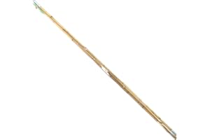 BambooMN - Caña de pescar de bambú vintage con bobina, gancho, línea y plomero