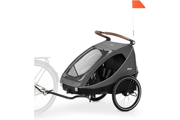 Hauck Remorque Velo 2 Enfants Dryk Duo, Inclus Barre d'Attelage, Roue Avant et Fanion, Pliable, Espace Rangement XL, Facile à Fixer, Utilisation en Poussette Double - Gris Chiné