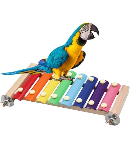 BZN Futtersuche Spielzeug Zwillingsbecher – Für Sugar Gliders, Chinchillas, Hamster & Ratten