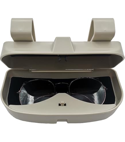 Funda Para Gafas De Sol De Coche - Cuero Universal, Organiza Tus Lentes (20x9.5x4cm)