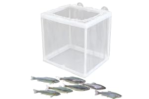 Fish Breeding Box - Aquarium Breed Box, Mesh Box Fiskuppfödningstankar, Fish Tank Inkubator Box Med Sugkoppar, Fiskyngel Kläc