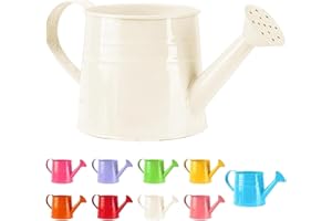 YOUNING Gießkanne Klein Zimmerpflanzen 1L Kleine Gießkanne Metall Blumentopf Giesskanne Garten Balkon Watering Can Kieskanne Vintage Blumengießkanne Pflanzengießkanne Gartenwerkzeug (1PC/Weiß)