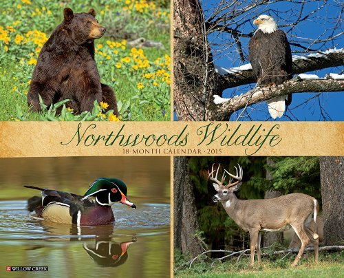 Northwoods Wildlife 2015 Wall Calendar by Willow Creek Press (2014-06-15)