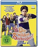 Die wilden Siebziger! - Die komplette 8. Staffel (2 Blu-rays) - Ashton Kutcher