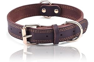 DAIHAQIKO Collare per Cane in Vera Pelle Collari per Cani Resistente Collare Largo per Cani di Piccola Taglia Media Taglia Grande ed Extra Grande