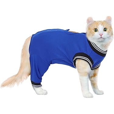 Minimalistisch - Kleding Voor Katten / Benodigdheden Voor