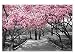 Produktbild Rosa Blüten Allee! Leinwand Bilder! Wandbild! Kunst Druck! Keilrahmen A05771 Größe 90 x 60 cm