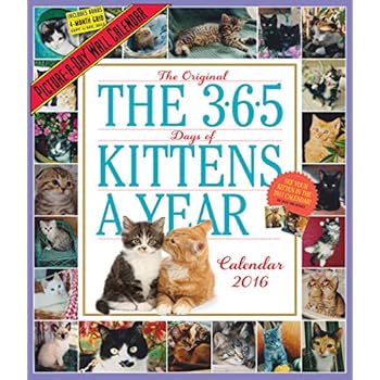 The 365 Days of Kittens a Year 2016 Calendar The 365 Days of Kittens a Year 2016 Calendar