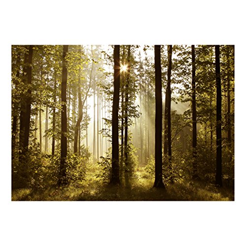Fototapete Wald grün 350×245 cm XXL !  PREMIUM VLIES TAPETE – PROFI QUALITÄT (Keine Papiertapete, keine Blasenbildung) – Top moderne Wanddeko – Fototapete 3D Illusion – Riesen Wandbild – Top Design Tapete – Neue exklusvie Edition mit noch besser Druckauflösung – Deutsches Premium Vlies (Kein Import Vlies oder PVC), Schlafzimmer, Wohnzimmer, Kinderzimmer geeignet | modern Fototapeten Wandtapete Landschaft Baum Bäume Natur FOB0238a73XL - 5