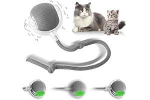 Chapzanink Chase Mate Cat Toy,Electric Dog Ball Toy,Rechargeable Interactive Cat Toy,360°Automatic Rolling Ball Electric Dog toys,Cat Chase Toy,Cat & Dogs Toys Interactive for Indoor and Outdoor