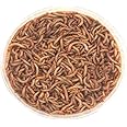 The Mealworm Company LIVEFOODS DIRECT Live Mini Mealworms 250g 9-13mm.