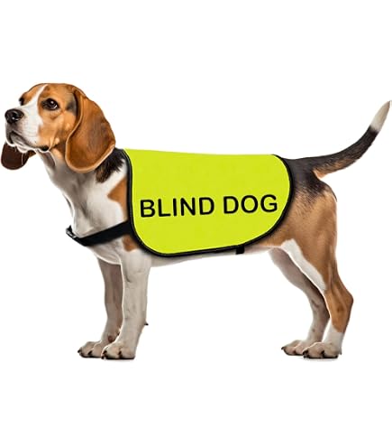 Hundeleinen-Hülle Mit Aufschrift „Careful I'm Blind“ – Aus Polyester, 22 Cm, Für Blinde Hunde