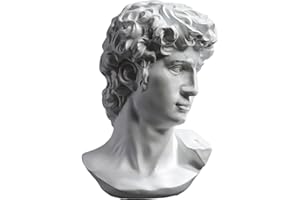 PIGPIGFLY Michelangelos David Bust Statue, Decorative Living Room, Home Store Decoration, Modern Ornaments, Polyresin, Gift