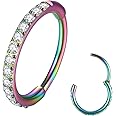 BLESSMYLOVE Clear CZ Nose Rings Hoop 316L Surgical Steel Cartilage Earrings Conch Daith Helix Rook Tragus Lobe Snug Body Piercing Jewelry 20G 18G 16G Stainless Steel Hinged Segment Rings Lip Rings
