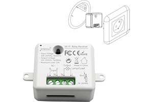 LoraTap Interruptor de relé con WiFi, módulo Smart Home Switch con temporizador, montaje en pared, compatible con Google Home