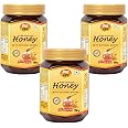 ANP BEE Raw Unpasteurized NMR Tested Natural Honey 250g Pack I Complies with 22 Rigorous FSSAI Quality Checks I 100% Pure, No Sugar Adulteration I Natural Immunity Booster for Adults & Kids I Pack of 3