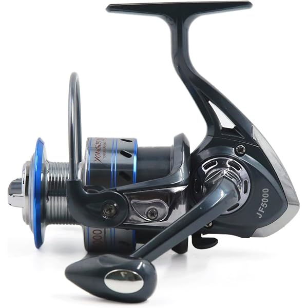 Daiwa Caldia FC LT2000S-H 21 : Amazon.in: Sports, Fitness