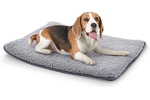 ‎BRUNOLIE brunolie Finn - Hundedecke, geruchsneutral, hygienisch und rutschfest, waschbare Hundematte in Beige, passend für das Auto, Größe S (68 x 54 x 5 cm) Grau