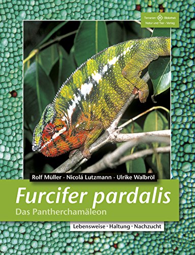 Download Furcifer pardalis: Das Pantherchamäleon (Terrarien-Bibliothek) Download Furcifer pardalis: Das Pantherchamäleon (Terrarien-Bibliothek)
