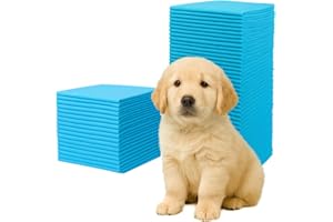 Ale-commerce 100 Stück Trainingspads für Hunde 60 x 60 cm Hundetoilette Inkontinenz Bettunterlage 6-lagiges Design Hundezubehör Schnell Trocknende Welpen Ältere Hunde Saugstarke Wickelunterlage