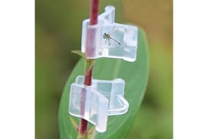 CVERY Lot de 100 clips de greffage de plantes transparents pour tomates, légumes, tiges de fleurs (transparents)