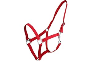 ARBO-INOX® Halfter mit Schiebeschnalle Stallhalfter Basic (Shetty, rot)