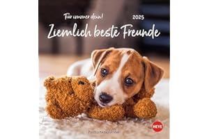 Ziemlich beste Freunde Postkartenkalender 2025 - Für immer dein: Postkarten-Fotokalender mit Hunden und ihren Lieblingsstofftieren. Kleiner Kalender ... lustiger Sprüche. (Postkartenkalender Heye)