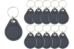 GODELY 100pcs 13.56MHz IC RFID Keyfob, RFID, ISO14443A M-FA-RE Classic 1K Tag NFC RFID Token, per il Controllo Degli Accessi, di Sola Lettura, ABS Impermeabile