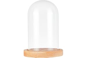 nbeads Glaskupol, evig rosa klocka klar glasburk kupoldisplay mittbordsunderlägg med träbas för tårta blomma födelsedag alla hjärtans dag mors dag, 11,3 x 16 cm