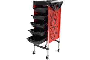 Tagtuell 6 Tier Hairdresser Trolley, Salon Hairdressing Trolley with 5 Drawers, Beauty Storage Cart on Wheels with Side Tray Hair Dryer Holder