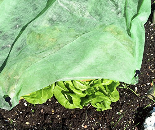 Windhager Wachstums-Vlies Super Grow, 10 x 2 m - 6