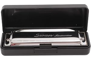 G Key Harmonica, 10 Hole 20 Tone Harmonica G Key Mouth Organs for Adults, Beginners, Pro