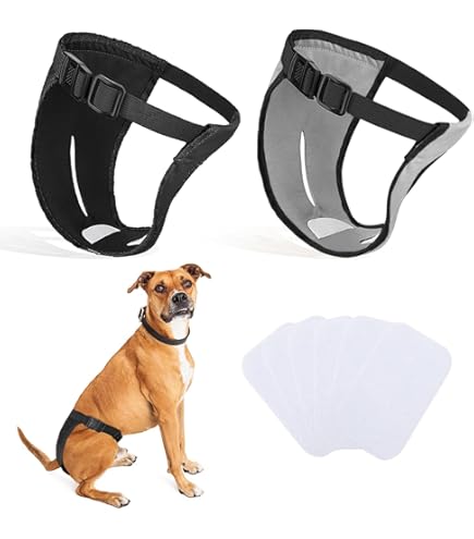 Mutande Assorbenti Donna Pannolini Lavabili Per Cane Femmina