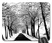 Produktbild Rimes int the Trees Mouse Pad, Mousepad (Forests Mouse Pad)