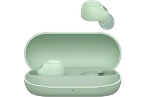Sony WF-C700N kabellos, Bluetooth, Noise Cancelling Kopfhörer (kleine, leichte Kopfhörer mit Bluetooth Multipoint Connection, IPX4, bis zu 20h Akkulaufzeit, Schnellladung, iOS & Android) Salbeigrün