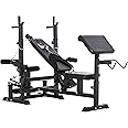 HOMCOM Multi-Exercise Full-Body Weight Rack with Bench Press, Leg Extension, Chest Fly Resistance Band & Preacher Curl