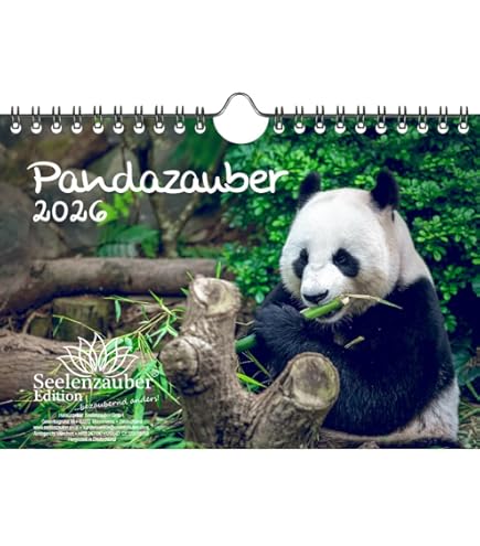 Edition Seidel Premium kalender Pandaberen 2024 formaat DIN A3 wandkalender dierkalender panda panda beer zoogdier bamboe bos