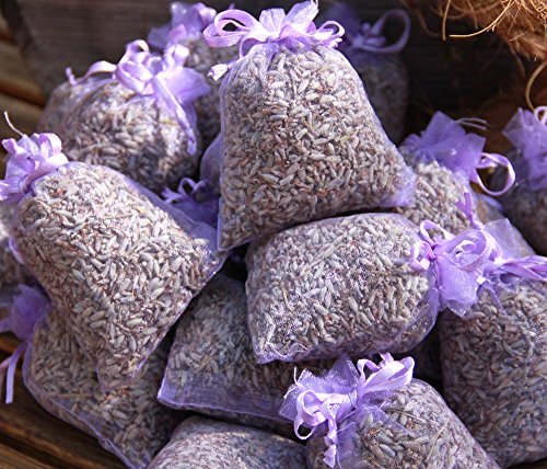 10 x Lavendelsäckchen mit duftenden BIO Lavendel - Insgesamt 100g BIO Lavendelblüten